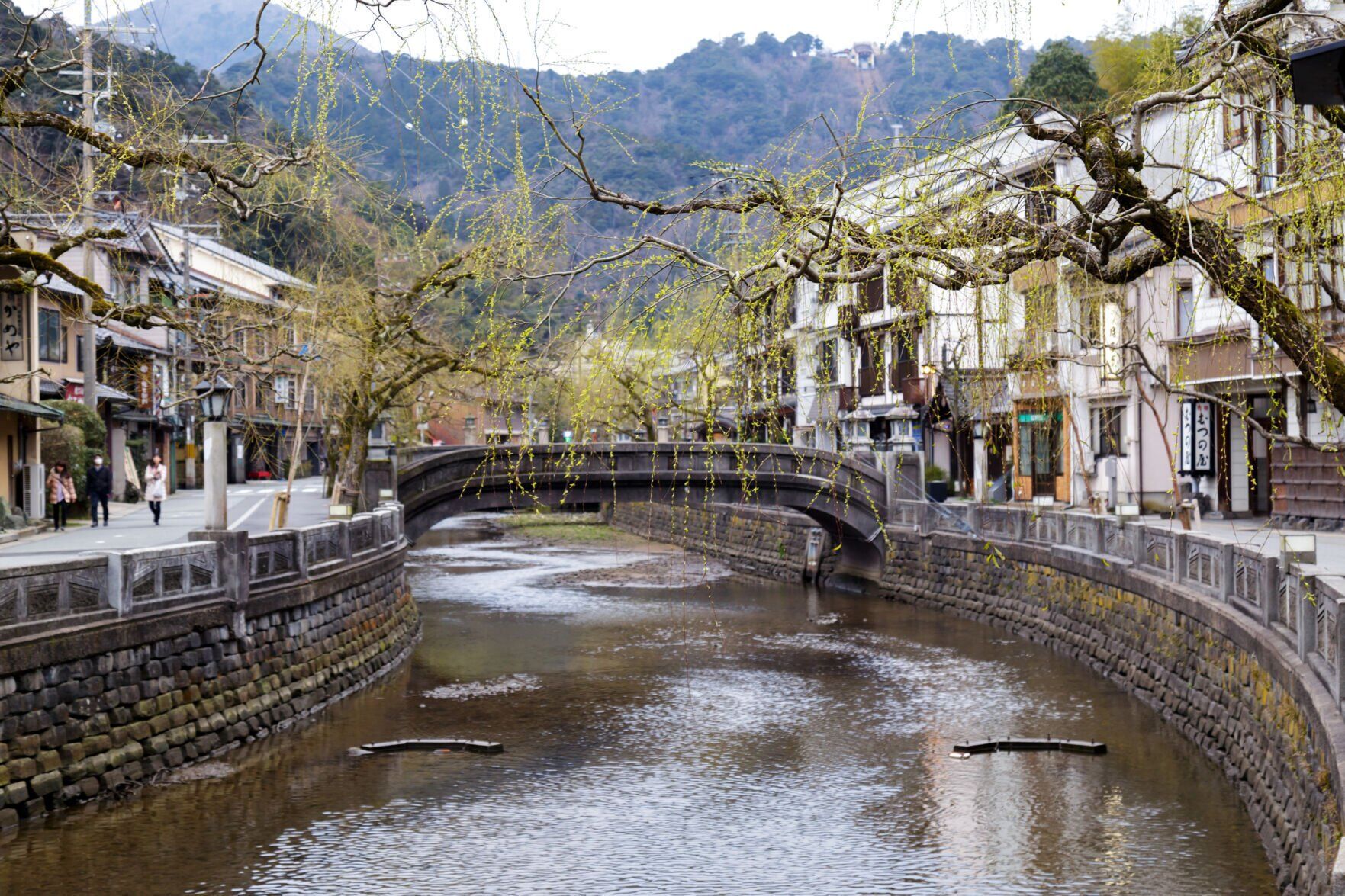 The land of the white stork